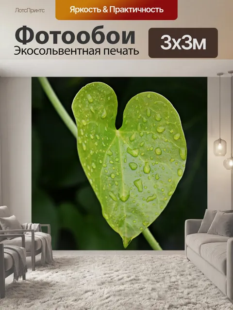 Фотообои Дождевой воды