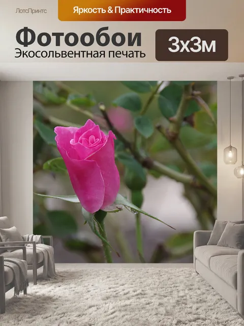 Фотообои Маленький розовый бутон розы