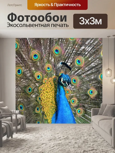 Фотообои Павлин