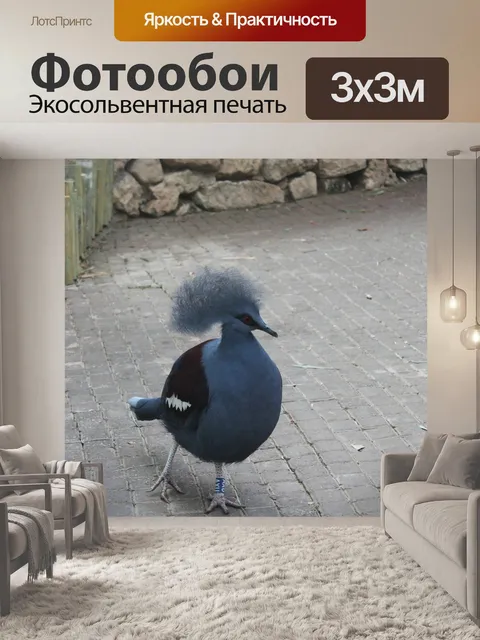 Фотообои Птица
