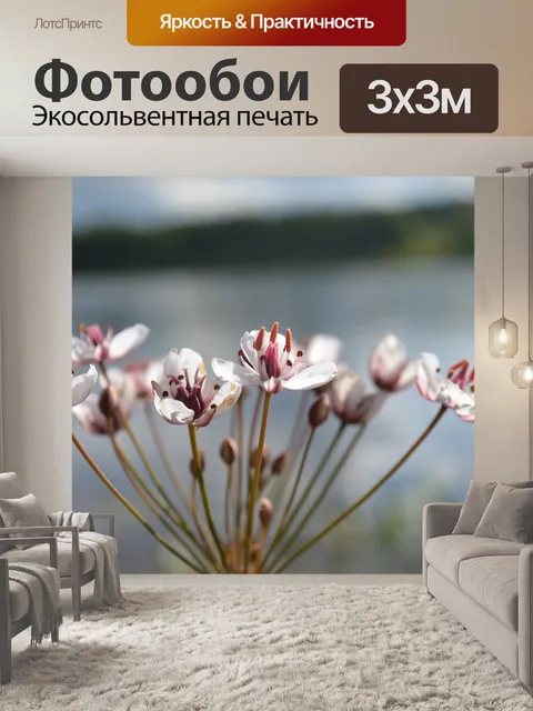 Фотообои Цветок