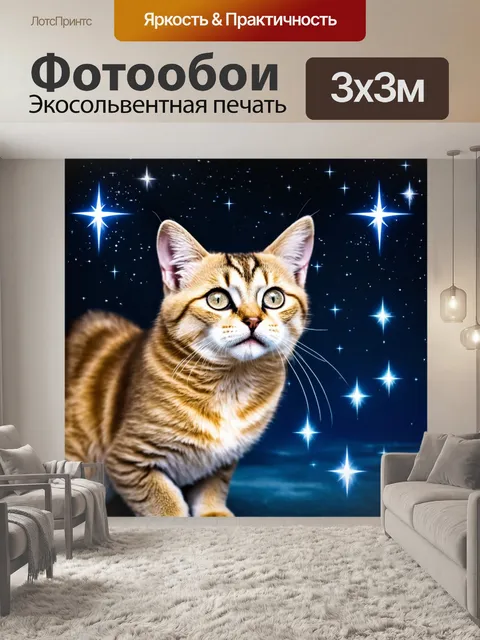 Фотообои кошки, <собирающие звёзды с неба>