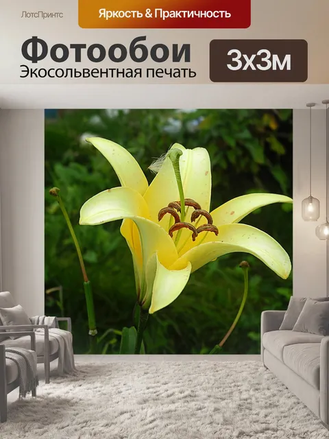 Фотообои Цветок