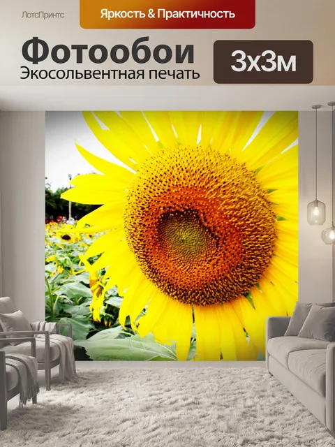 Фотообои поле подсолнухов, подсолнухи