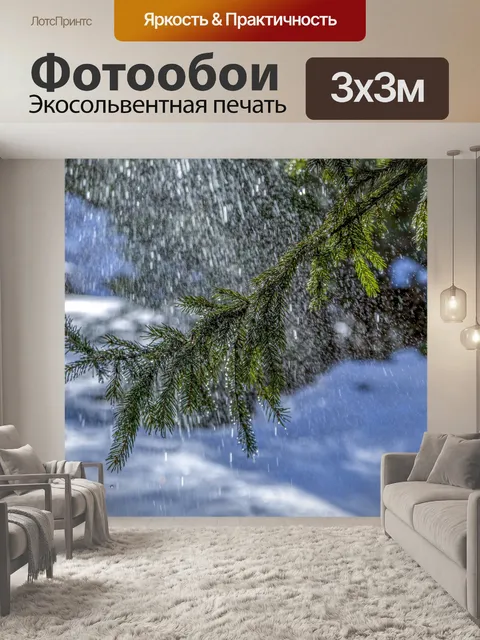 Фотообои Сосновая ветка под дождем
