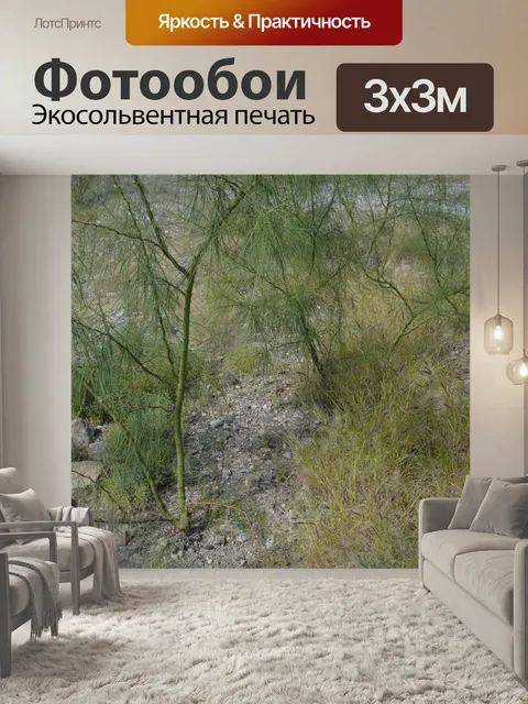 Фотообои Дерево растение зеленый лист Красочные