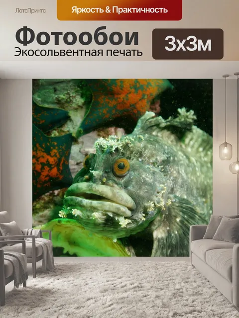 Фотообои Рыбы