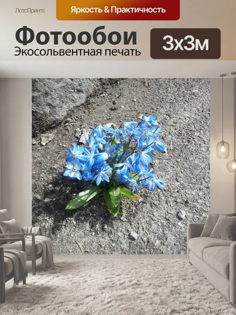 Фотообои Цветы