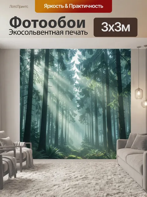 Фотообои Туманный лес из высоких елей