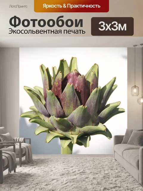 Фотообои Артишок
