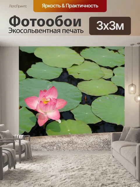 Фотообои Водяная лилия