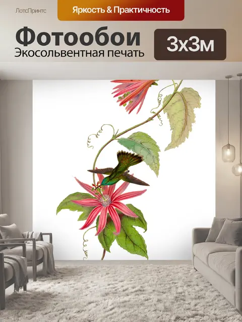 Фотообои Колибри птица старинное искусство