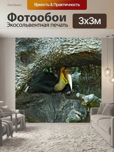 Фотообои Тропическая птица