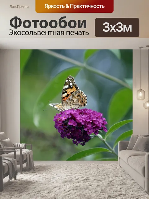 Фотообои Бабочка