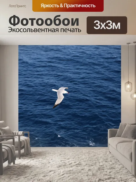 Фотообои Чайка