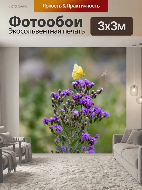 Фотообои бабочка на полевых цветах