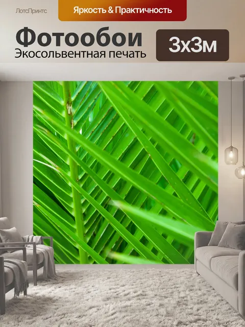 Фотообои пальмовых листьев текстуры