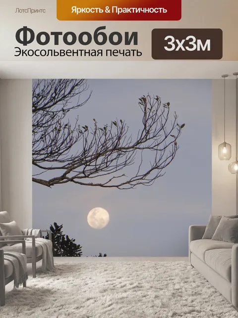 Фотообои Лунный свет