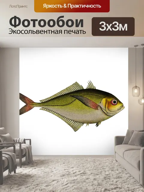 Фотообои Рыба Винтаж Художественный Принт