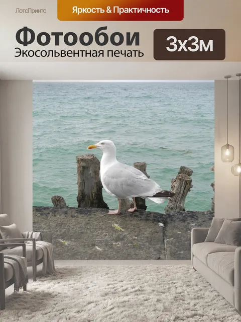 Фотообои Чайка морская синяя природа птица