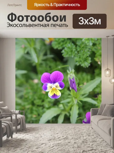 Фотообои Мысли