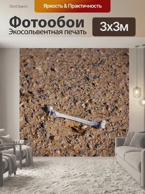 Фотообои Кость в пустыне