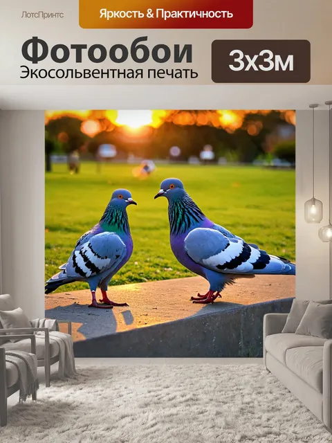 Фотообои голуби в парке на фоне заката