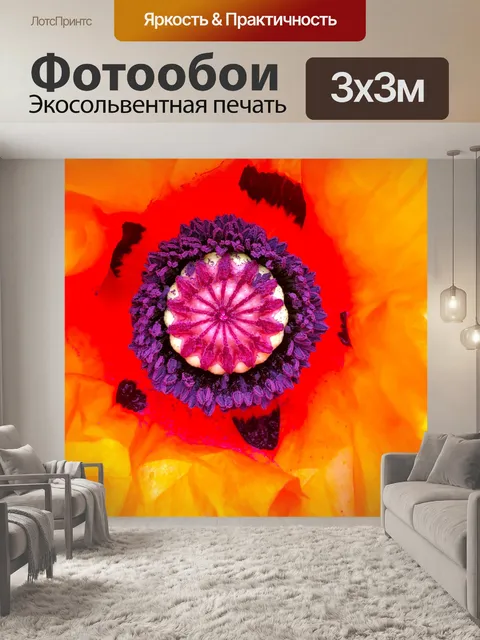 Фотообои Цветок мака