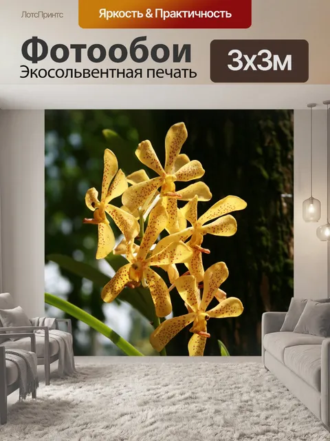 Фотообои Сингапур