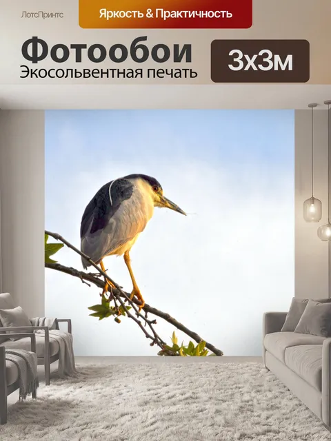 Фотообои Ночь Цапля в дереве