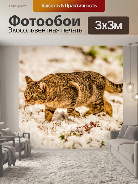 Фотообои Кот в снегу