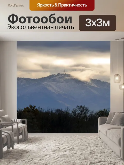 Фотообои Черный лес