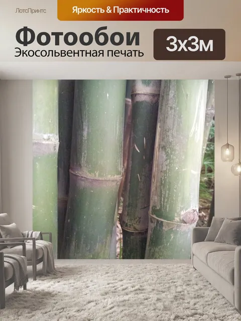 Фотообои толстого бамбука шагу