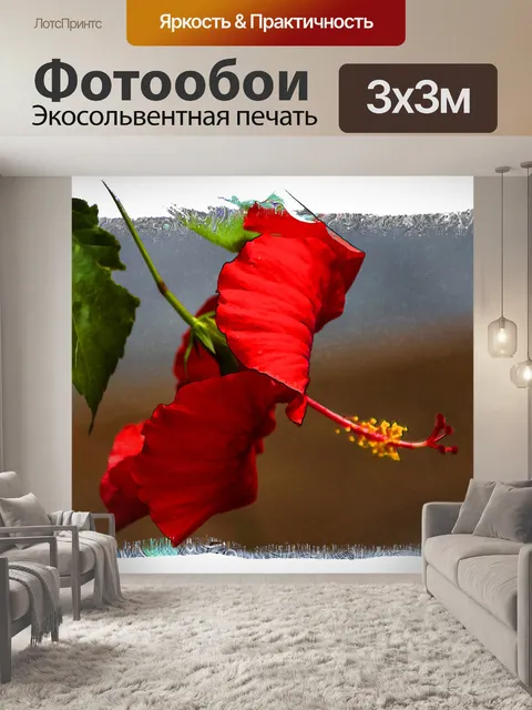 Фотообои Красный цветок гибискуса
