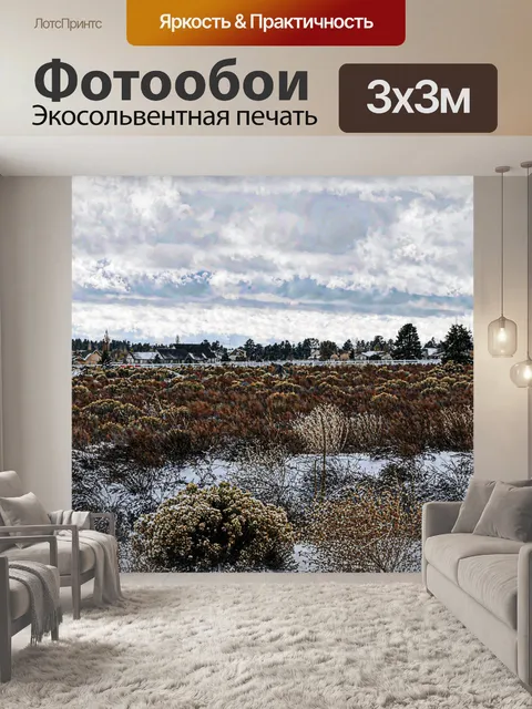 Фотообои Окрашенные Снежный пейзаж