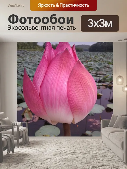 Фотообои Цветок