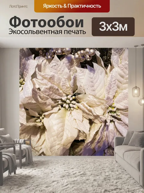 Фотообои Цветы белые пуансеттия