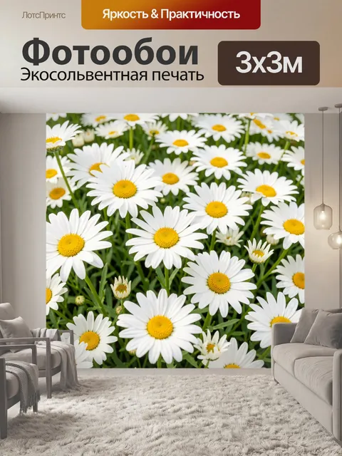 Фотообои Поле ромашек крупным планом
