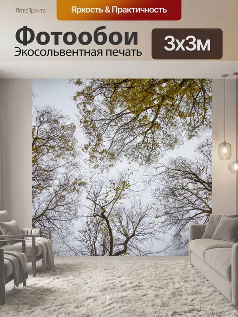 Фотообои Осенние деревья