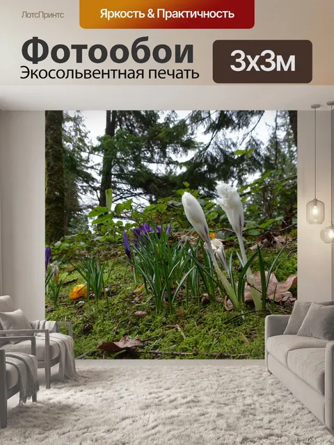 Фотообои белые цветы