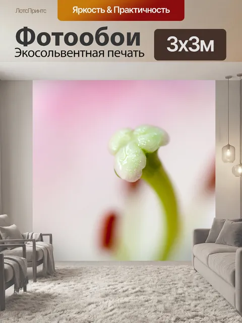 Фотообои Стигма