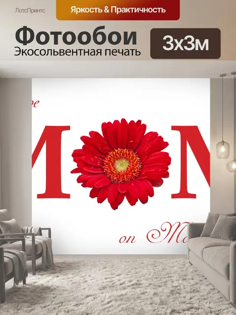 Фотообои Гербера ромашка цветок красный