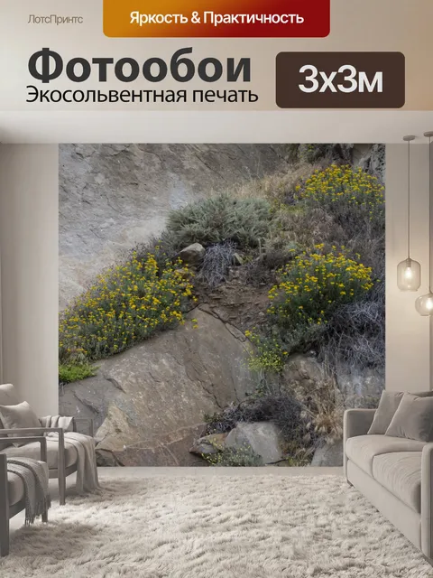 Фотообои полевые цветы на скале
