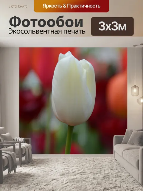 Фотообои Белый