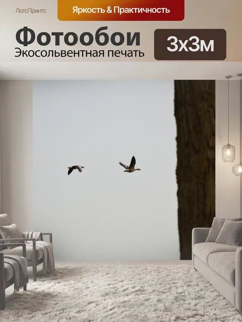 Фотообои Гуси