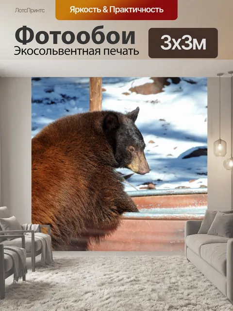 Фотообои Бурый медведь Питьевая вода