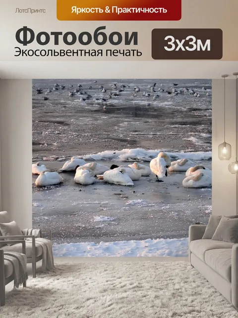 Фотообои Лебеди