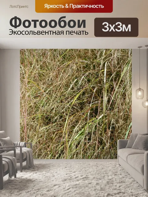 Фотообои трава фон