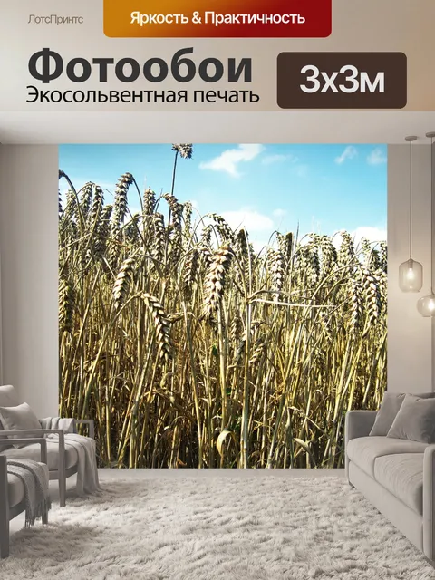 Фотообои Колосья пшеницы