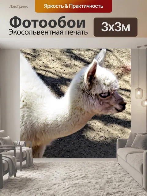 Фотообои Альпака
